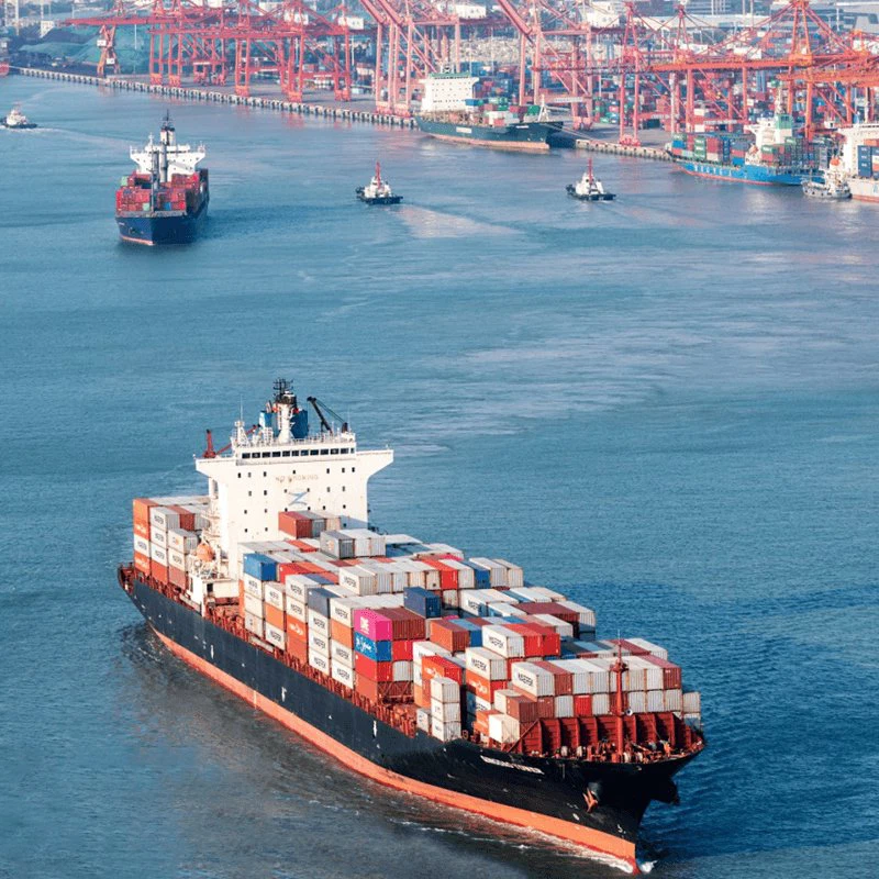 International Ocean Transportation